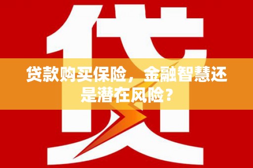 武侯贷款购买保险，金融智慧还是潜在风险？