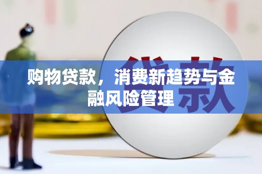 武侯购物贷款，消费新趋势与金融风险管理