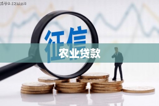 武侯农业贷款
