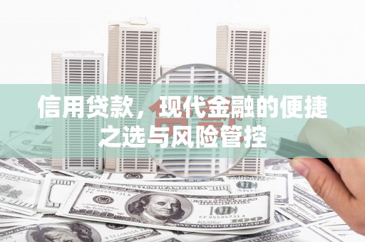 武侯信用贷款，现代金融的便捷之选与风险管控