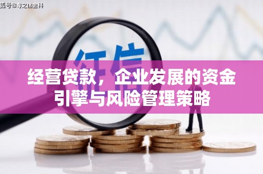 武侯经营贷款，企业发展的资金引擎与风险管理策略