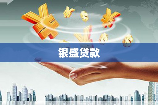 武侯银盛贷款