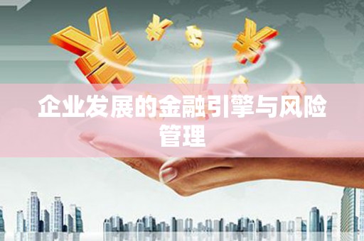 武侯企业发展的金融引擎与风险管理