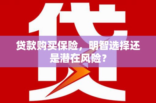 武侯贷款购买保险，明智选择还是潜在风险？