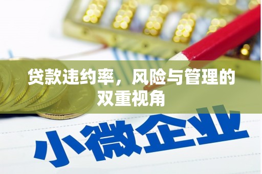 武侯贷款违约率，风险与管理的双重视角