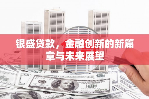 武侯银盛贷款，金融创新的新篇章与未来展望