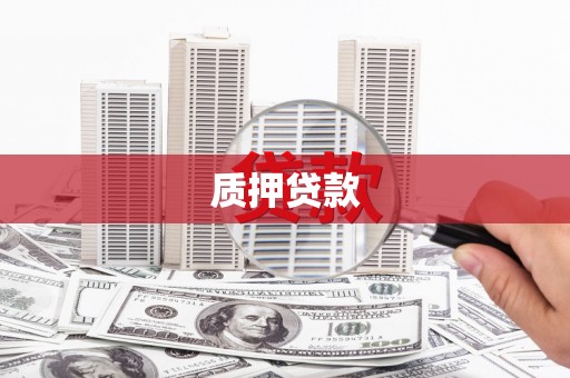 武侯质押贷款