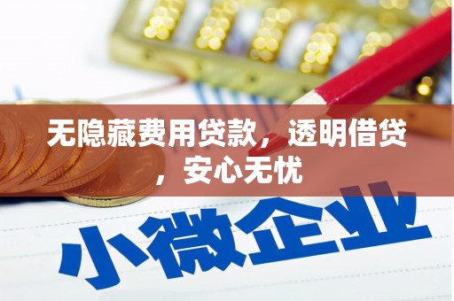 武侯无隐藏费用贷款，透明借贷，安心无忧