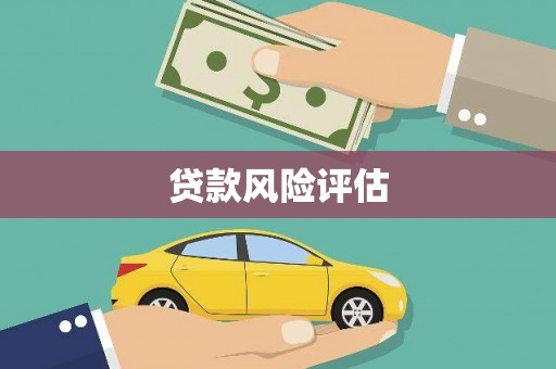 武侯贷款风险评估