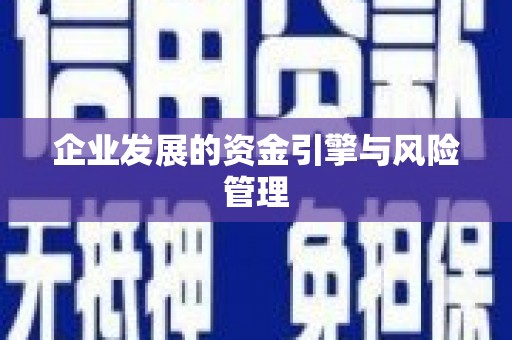 武侯企业发展的资金引擎与风险管理