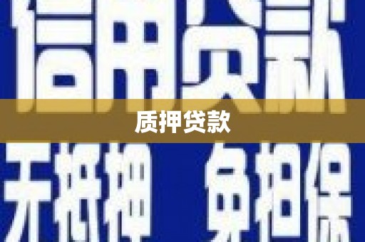 武侯质押贷款