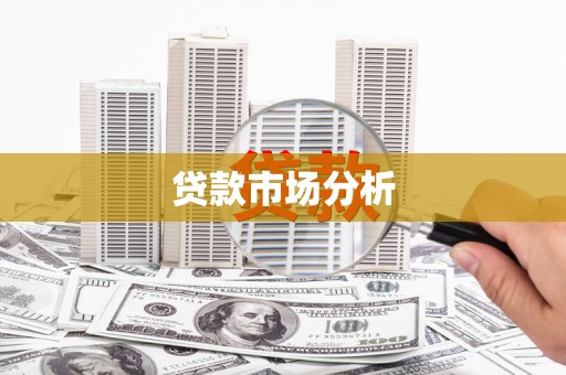 武侯贷款市场分析