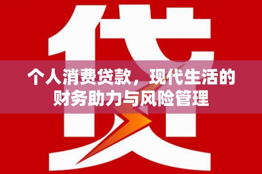 武侯个人消费贷款，现代生活的财务助力与风险管理