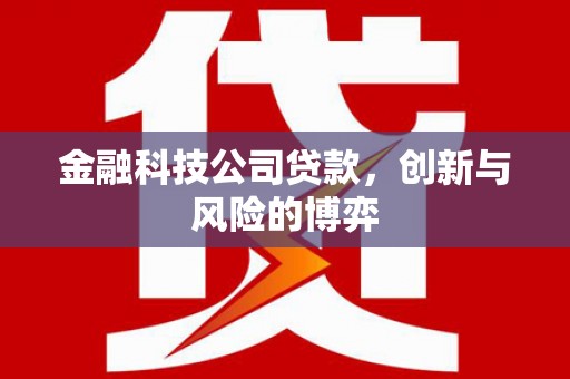 武侯金融科技公司贷款，创新与风险的博弈