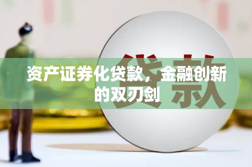 武侯资产证券化贷款，金融创新的双刃剑