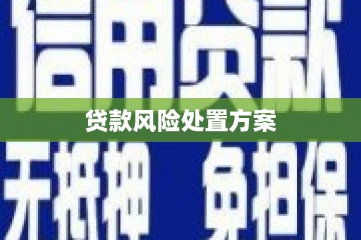 武侯贷款风险处置方案