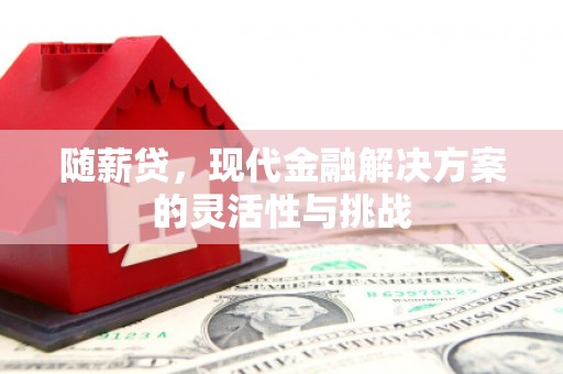 武侯随薪贷，现代金融解决方案的灵活性与挑战