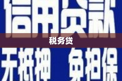武侯税务贷