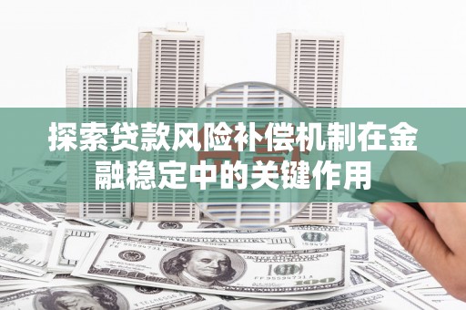 武侯探索贷款风险补偿机制在金融稳定中的关键作用