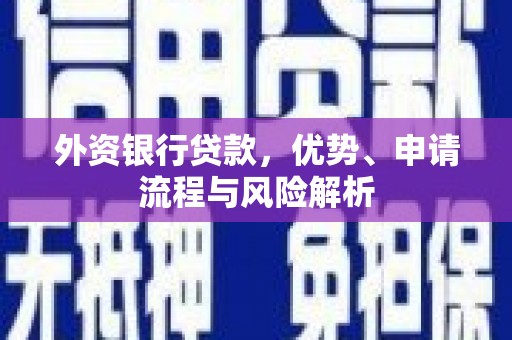 武侯外资银行贷款，优势、申请流程与风险解析