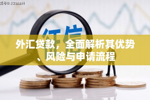 武侯外汇贷款，全面解析其优势、风险与申请流程
