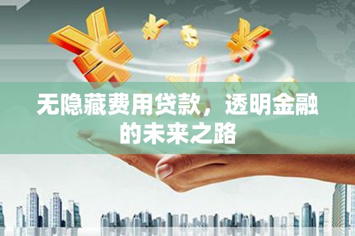武侯无隐藏费用贷款，透明金融的未来之路