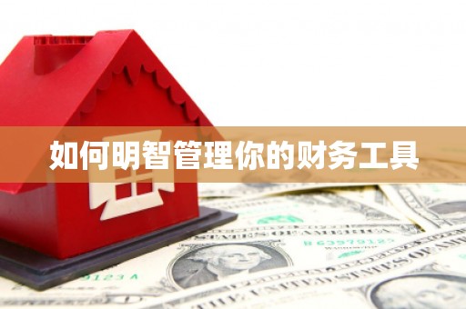 武侯如何明智管理你的财务工具