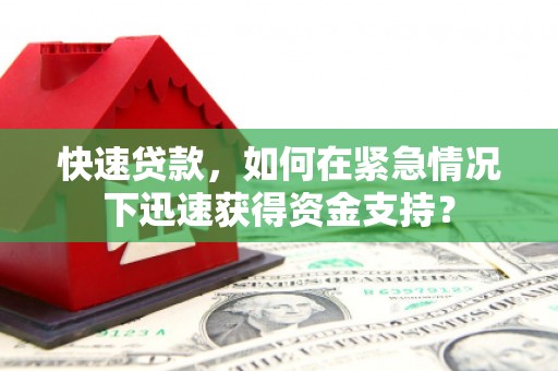 武侯快速贷款，如何在紧急情况下迅速获得资金支持？