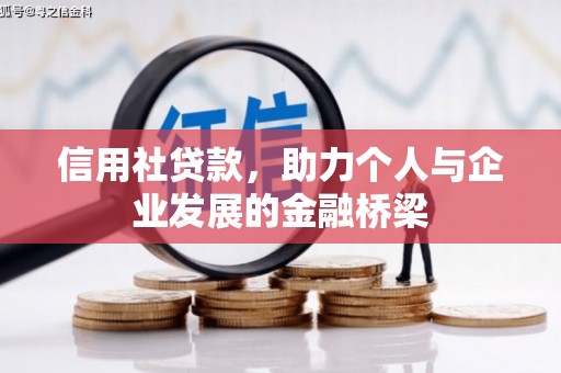 武侯信用社贷款，助力个人与企业发展的金融桥梁
