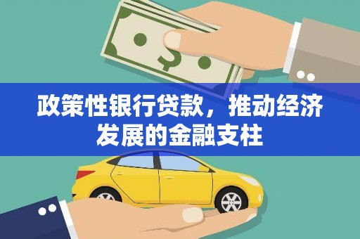 武侯政策性银行贷款，推动经济发展的金融支柱