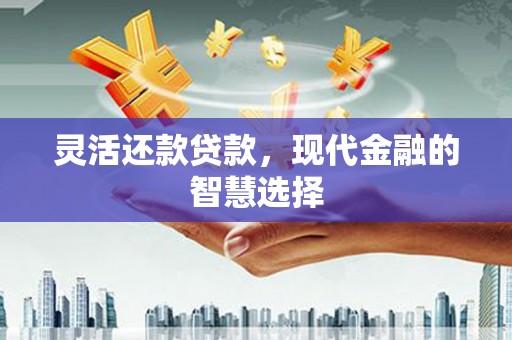 武侯灵活还款贷款，现代金融的智慧选择