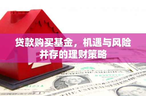 武侯贷款购买基金，机遇与风险并存的理财策略
