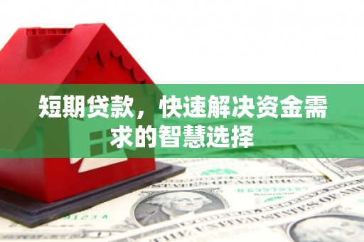 武侯短期贷款，快速解决资金需求的智慧选择