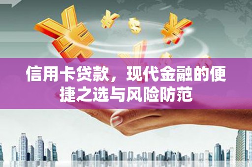 武侯信用卡贷款，现代金融的便捷之选与风险防范