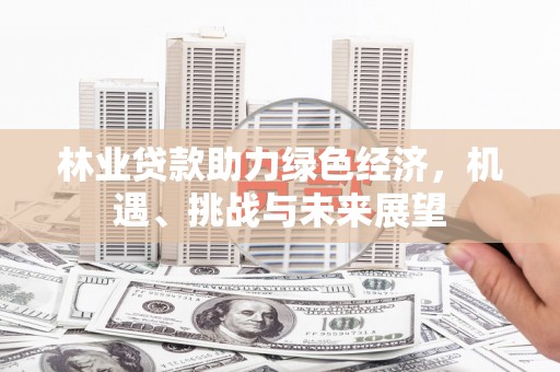 武侯林业贷款助力绿色经济，机遇、挑战与未来展望