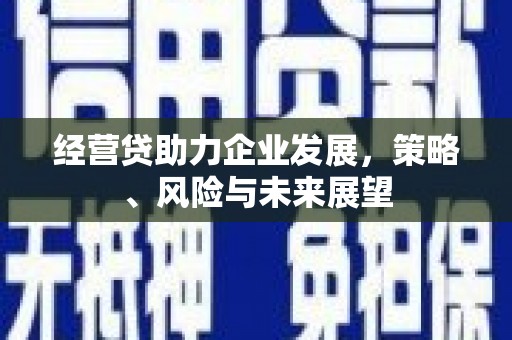 武侯经营贷助力企业发展，策略、风险与未来展望