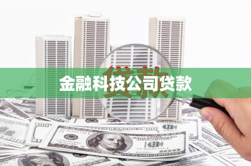武侯金融科技公司贷款