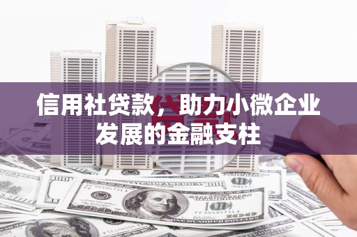 武侯信用社贷款，助力小微企业发展的金融支柱