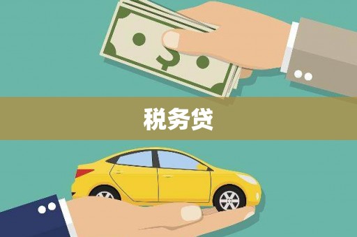 武侯税务贷
