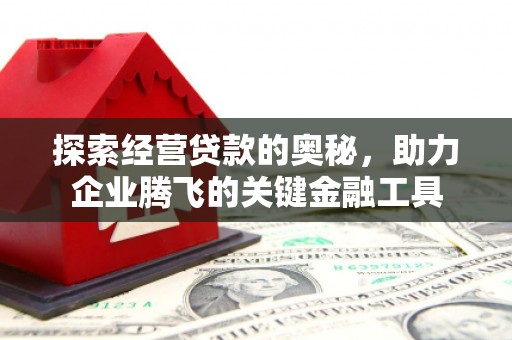 武侯探索经营贷款的奥秘，助力企业腾飞的关键金融工具