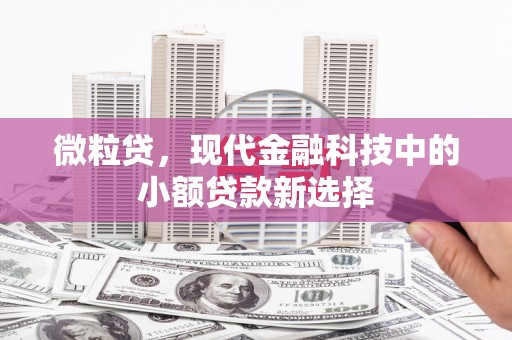 武侯微粒贷，现代金融科技中的小额贷款新选择