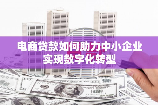 武侯电商贷款如何助力中小企业实现数字化转型