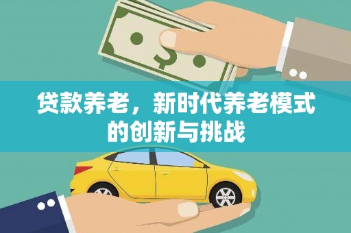 武侯贷款养老，新时代养老模式的创新与挑战