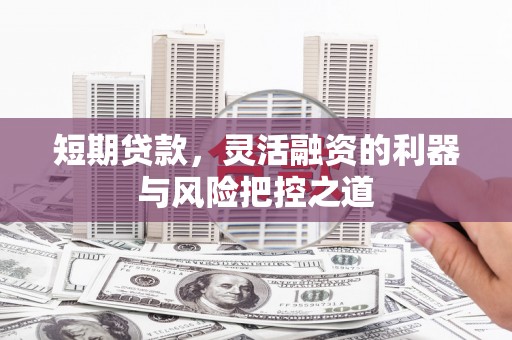武侯短期贷款，灵活融资的利器与风险把控之道
