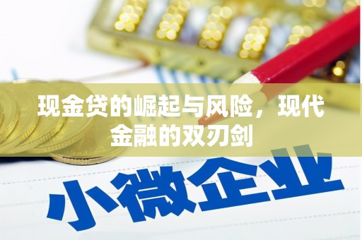 武侯现金贷的崛起与风险，现代金融的双刃剑