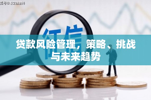 武侯贷款风险管理，策略、挑战与未来趋势