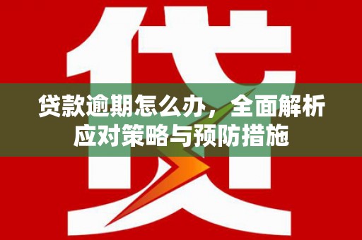 武侯贷款逾期怎么办，全面解析应对策略与预防措施