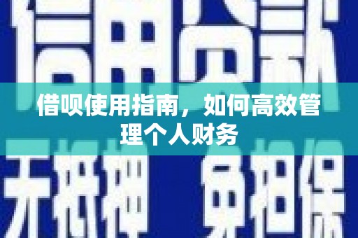 武侯借呗使用指南，如何高效管理个人财务
