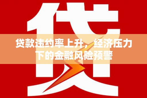 武侯贷款违约率上升，经济压力下的金融风险预警