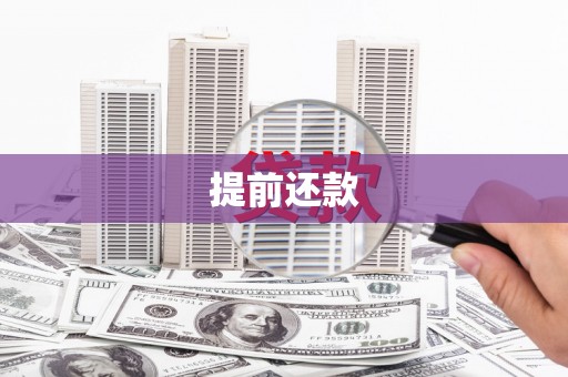 武侯提前还款